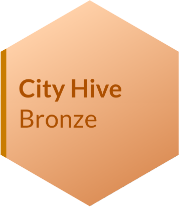 Bronze Badge