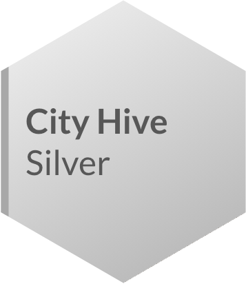 Silver Badge