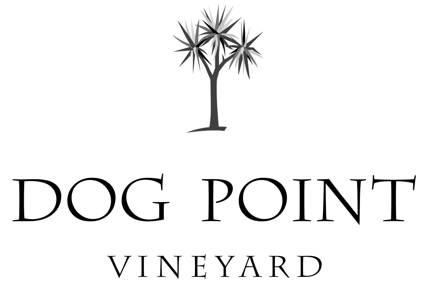 DPV_logo.jpg
