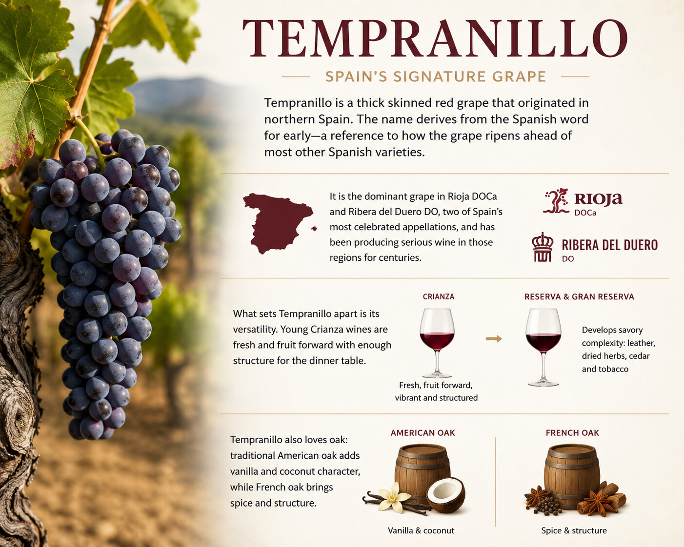 tempanillo2.png