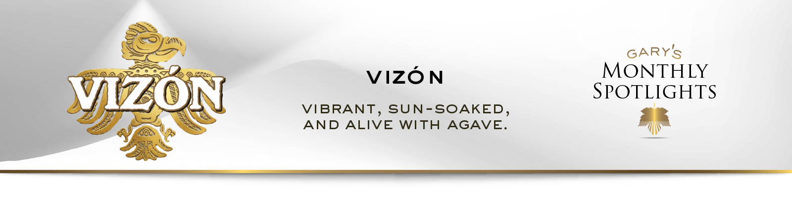 Vizon_Spotlight-WebsiteAssets_Spotlight_2_Desktop-Promo_Banner_1600x400.png