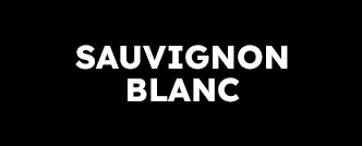 sauvignon blanc