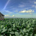 data