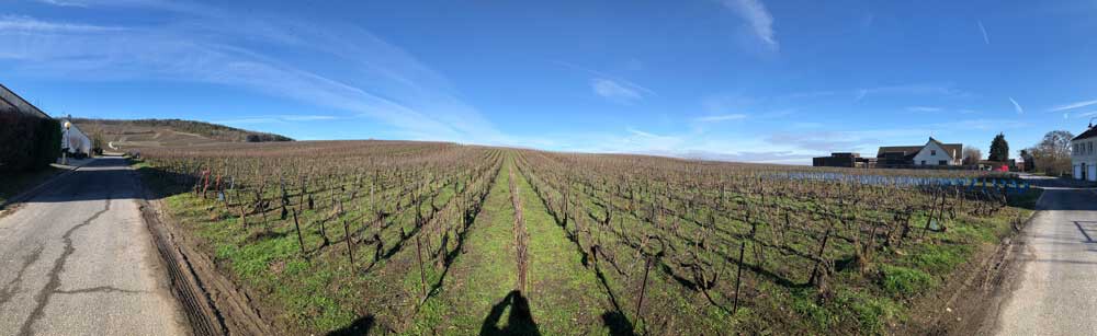 open-uri20221208-26447-1av9rm