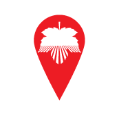Pin.png