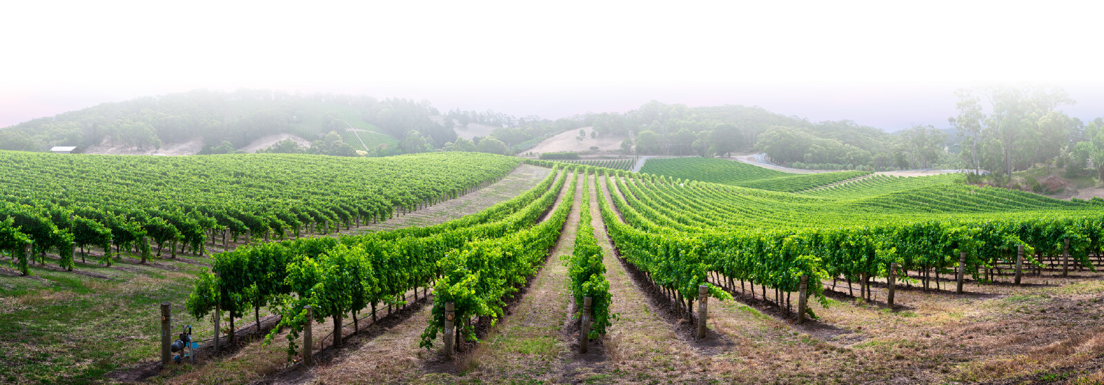 Wine_Experts_Page-03.png