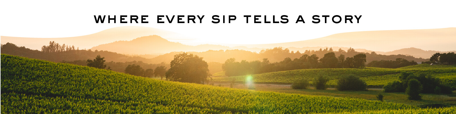 ShopPage_Desktop-Promo_Banner_1600x400.png