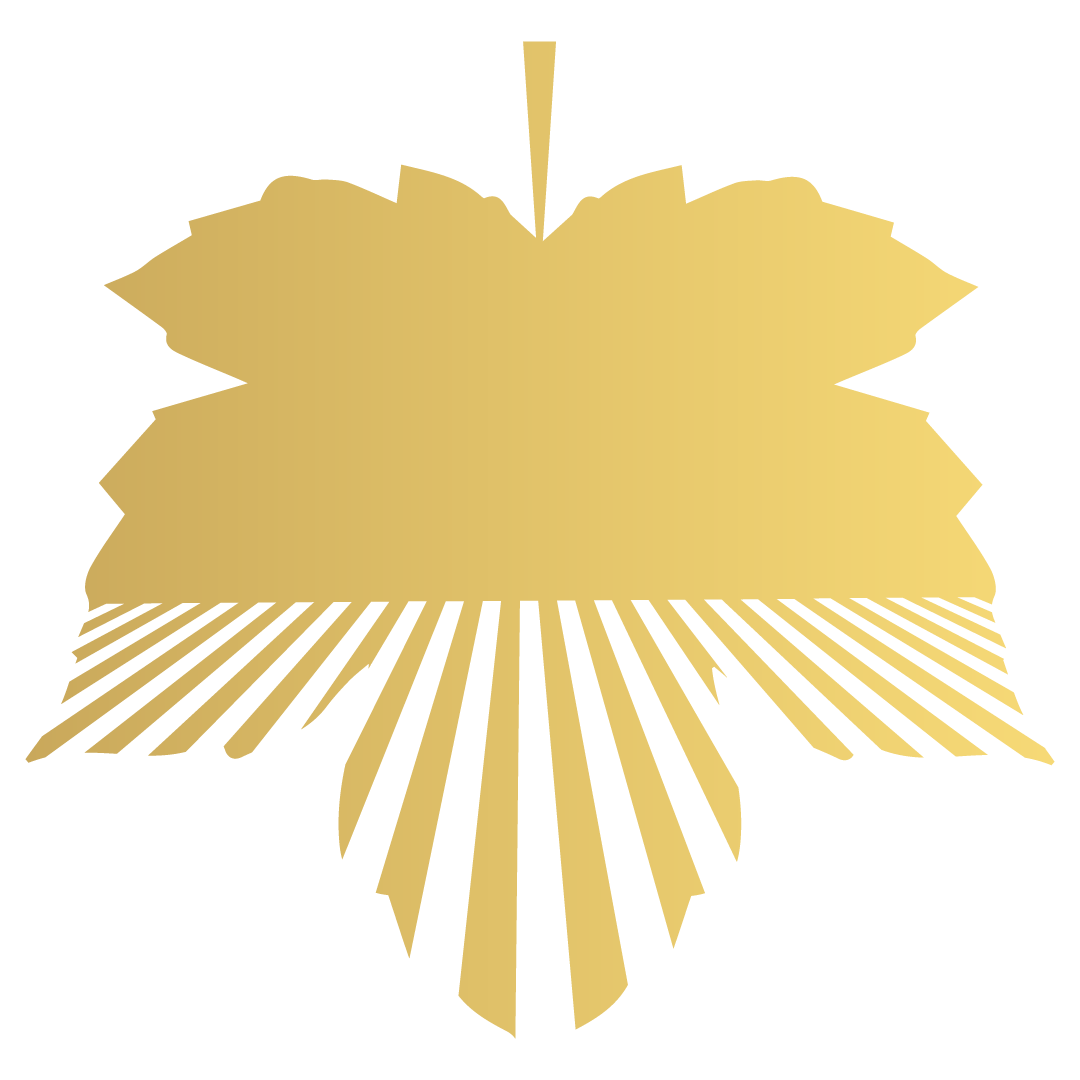 Untitled-1-01_(3).png