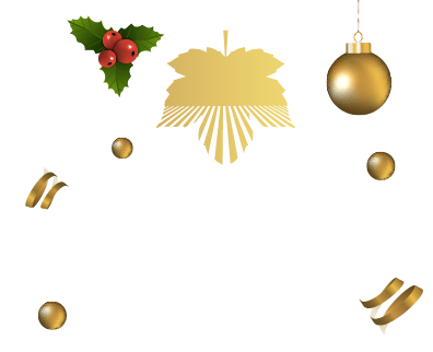 Home_Page_Assets_-_Holiday_Gary's_Plus_Logo.png
