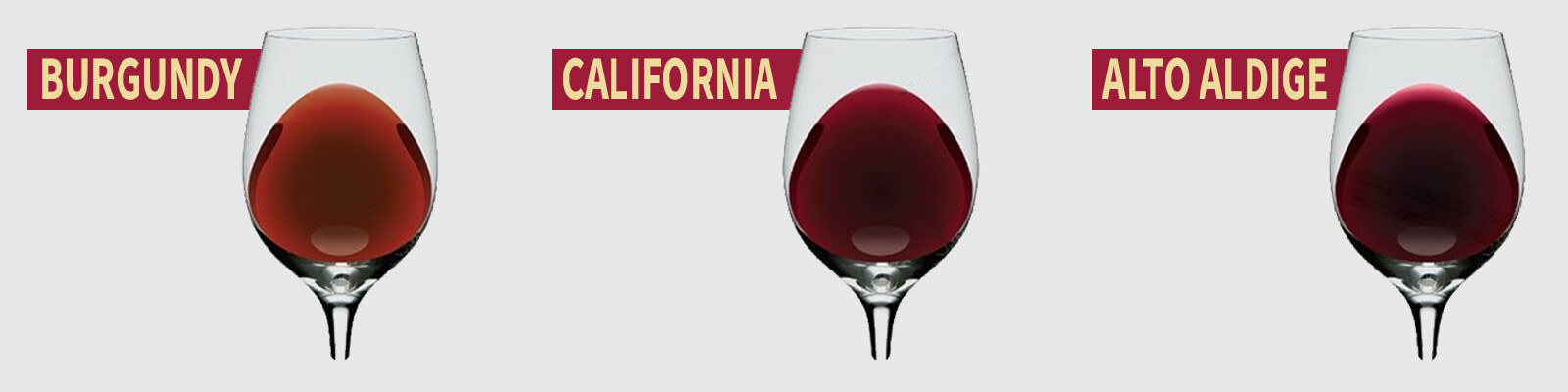 WINE_COLORS.png