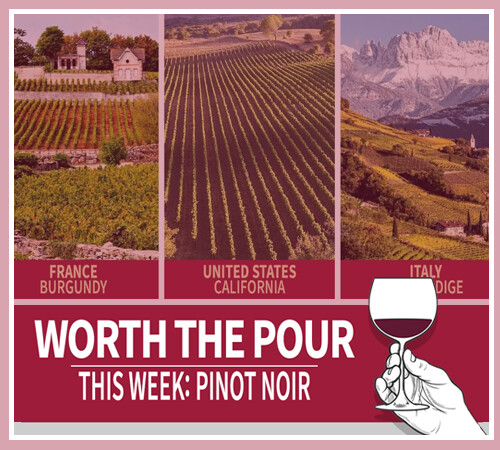 BLOG-POST-WORTH-THE-POUR-PINOT-NOIR.png