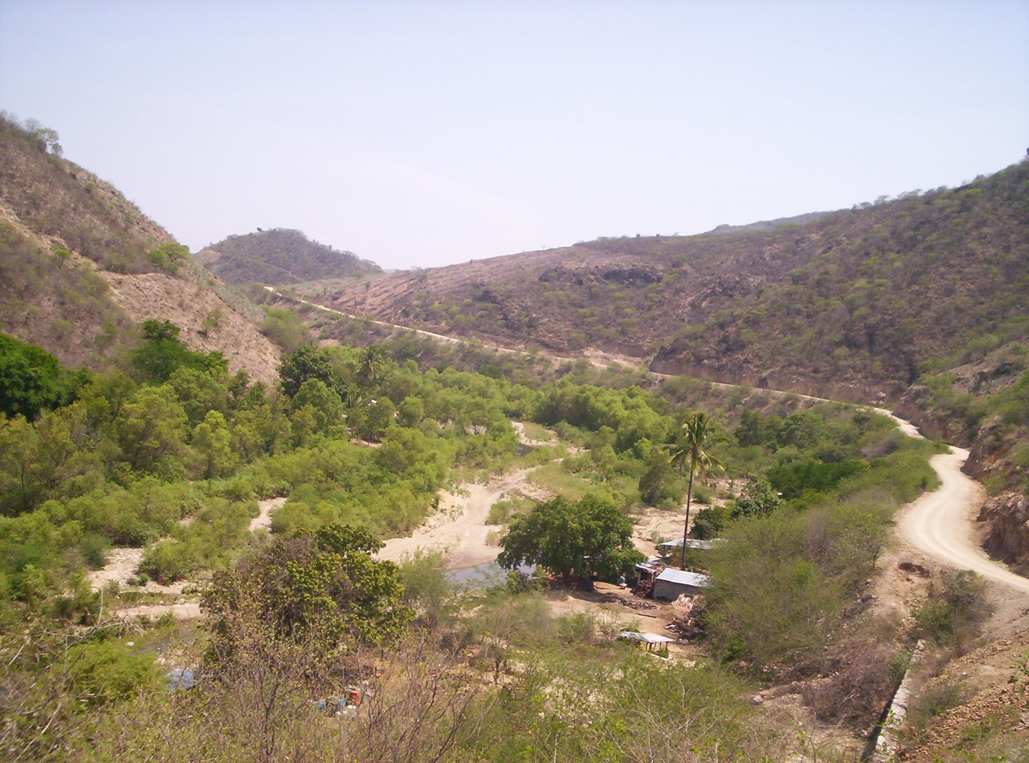 Picture1.jpg