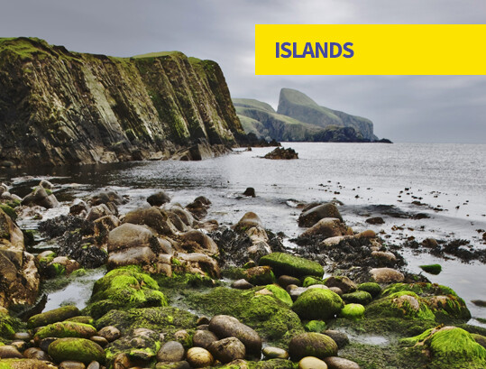 Island Scotch whisky