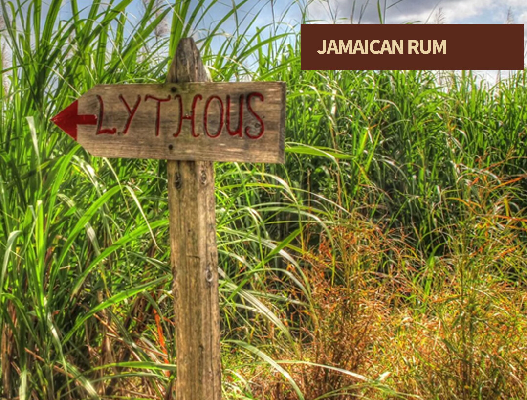 Jamaican rums