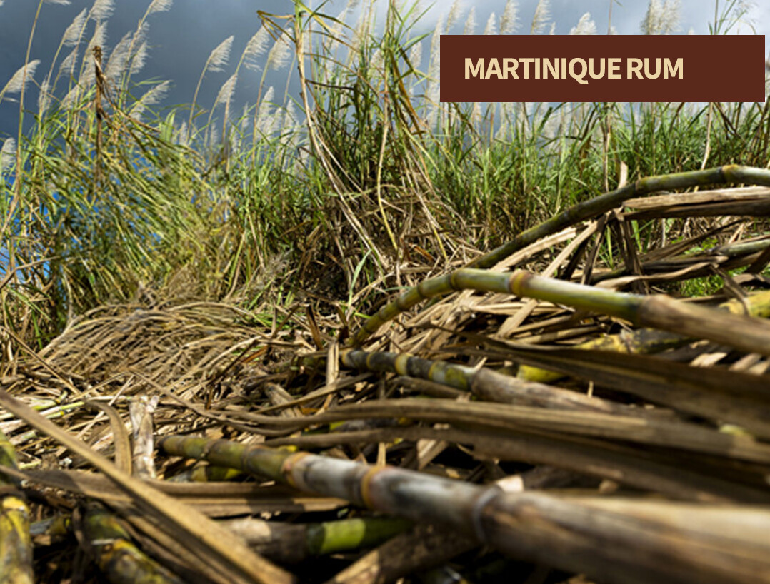Martinique rhum agricole