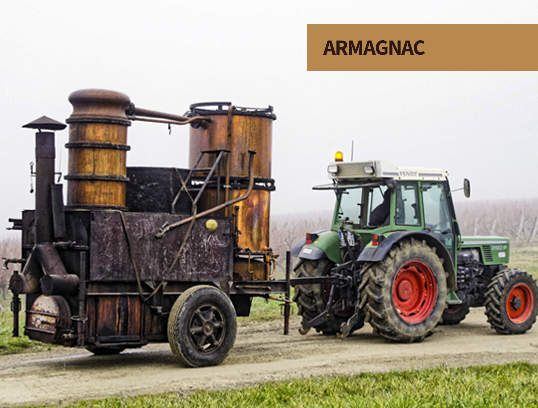 Armagnac at The Party Source