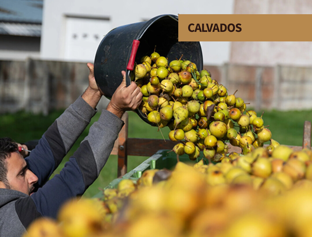 Calvados at The Party Source