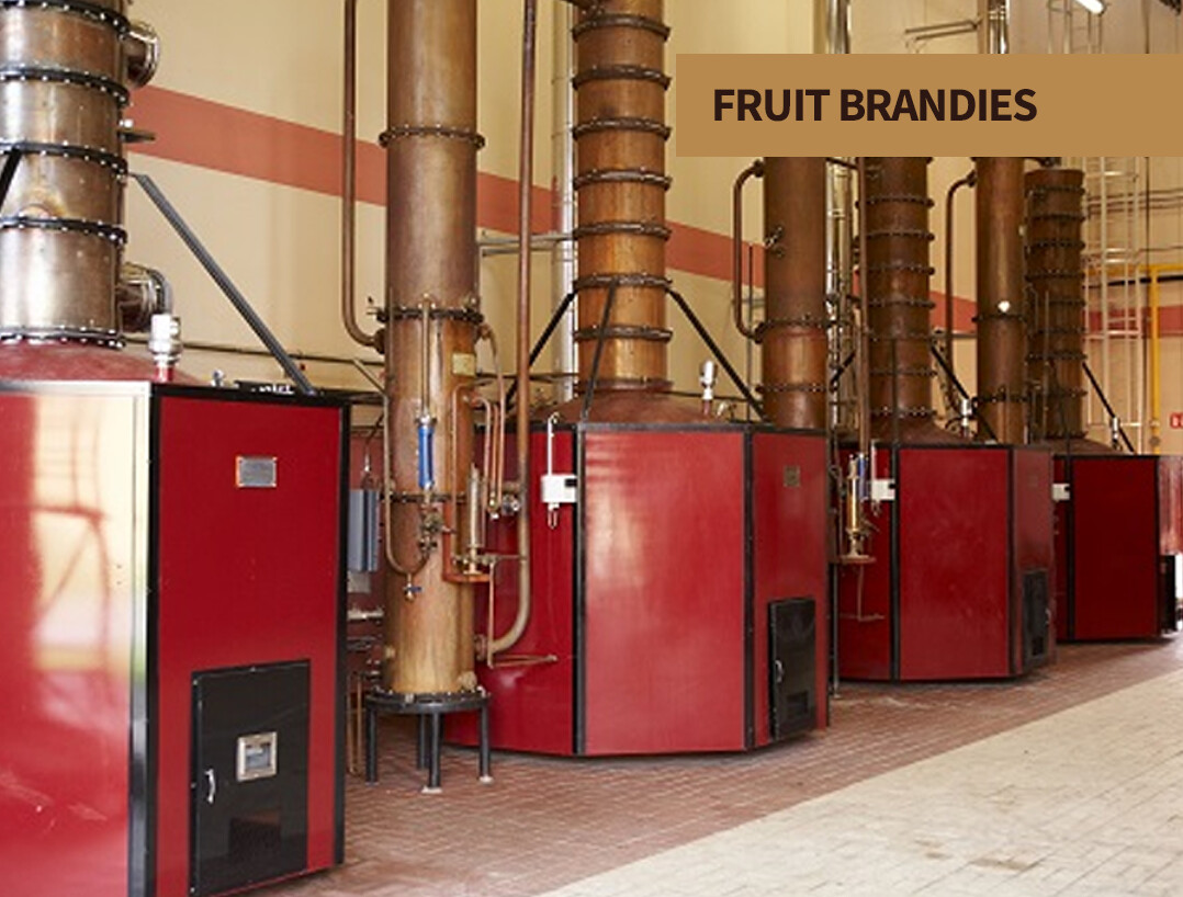 Fruit Brandies at The Party Source