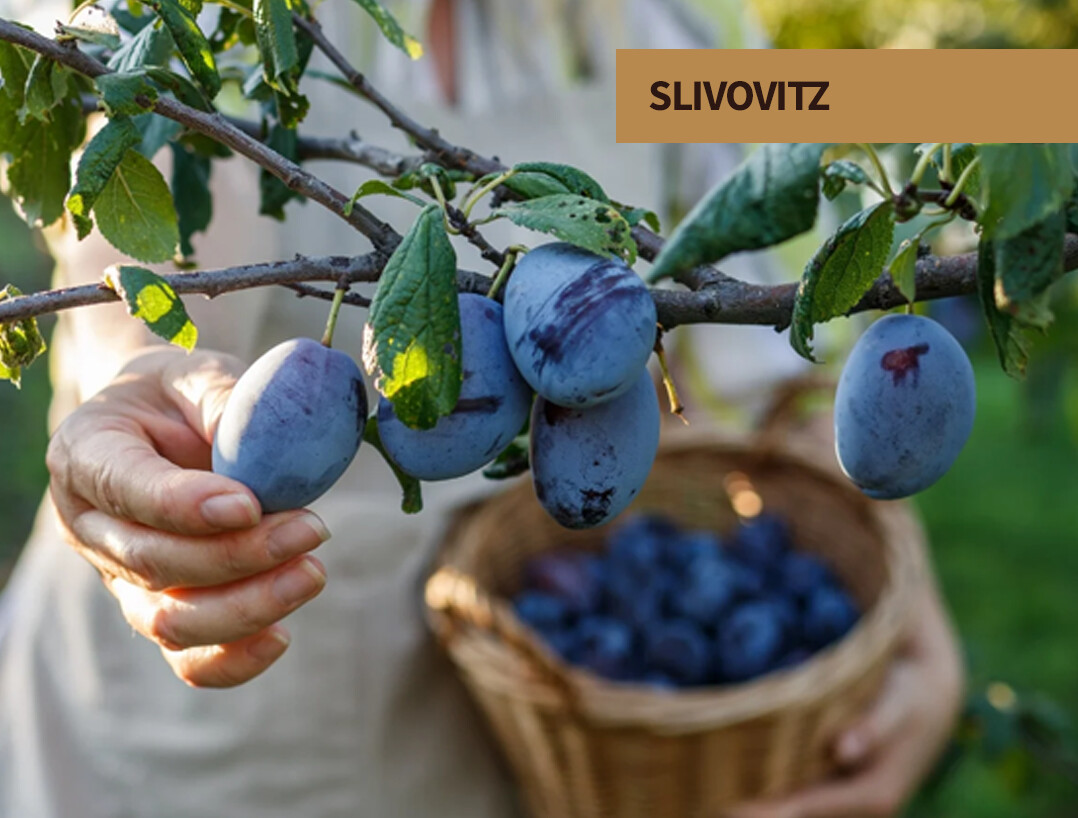 Slivovitz at The Party Source