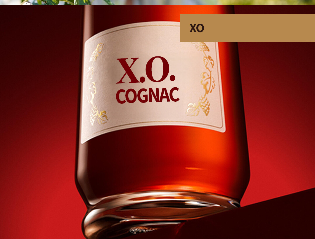 XO Cognac at The Party Source