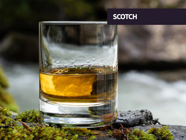 Scotch Headquarters at The Party Source featuring single malt and blended Scotch whisky