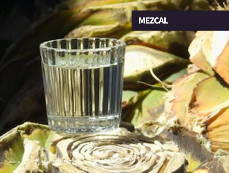 Artisanal mezcal and regional agave spirits at The Party Source