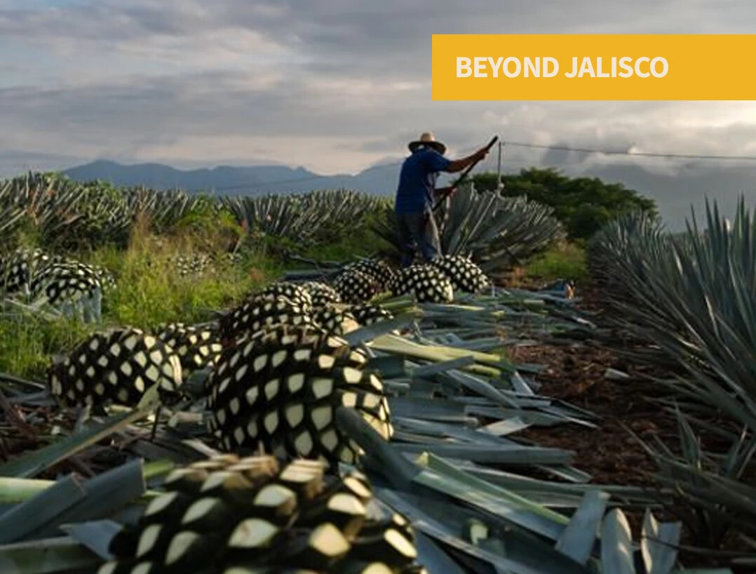 Tequila from authorized regions beyond Jalisco including Guanajuato, Michoacán, Nayarit, and Tamaulipas.
