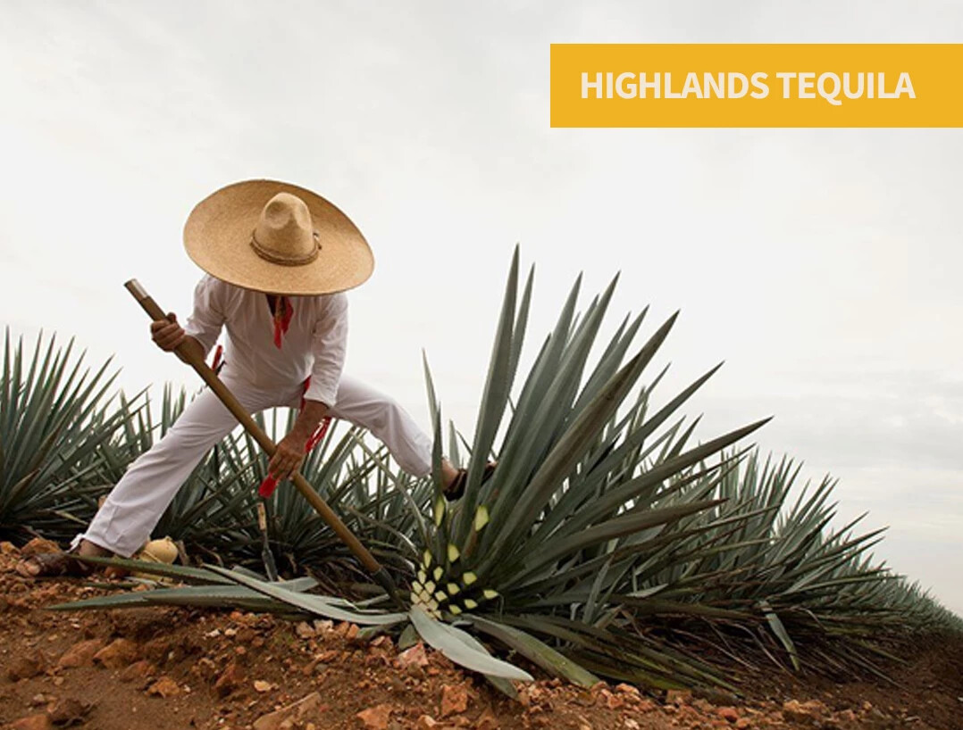 Highlands tequila from Los Altos featuring ripe fruit, bright citrus, floral aromas, and a naturally sweeter agave profile.