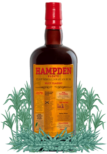 Hampden Estate HLCF Classic Jamaican rum bottle