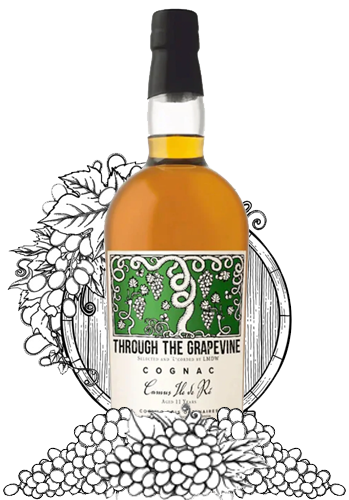 Through The Grapevine Cognac Ile de Re 11 Year bottle