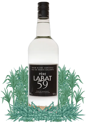 Pere Labat White Rum 118 Proof surrounded by sugarcane