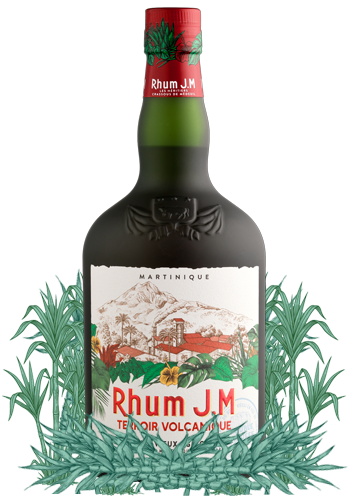 Rhum J.M Terroir Volcanique Rum surrounded by sugarcane