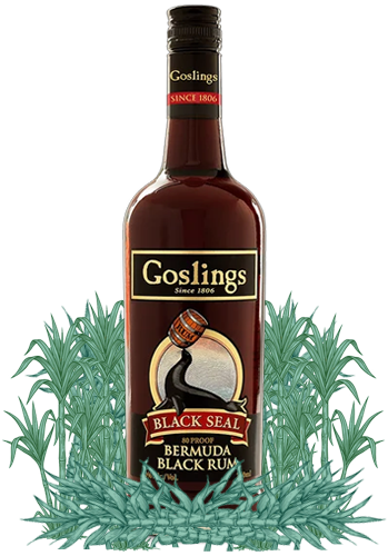 Goslings Black Seal Rum surrounded by sugarcane