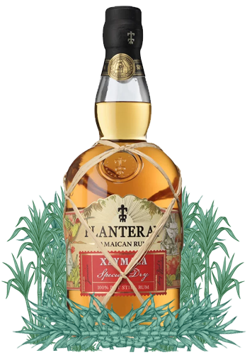 Planteray Xaymaca Special Dry Jamaican Rum surrounded by sugarcane