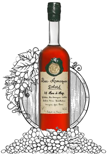 Delord Bas Armagnac 25 Year