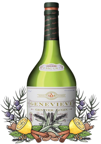 Anchor Genevieve Genever Style Gin