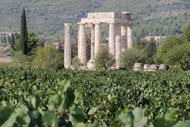 Nemea_wine_roads.jpeg