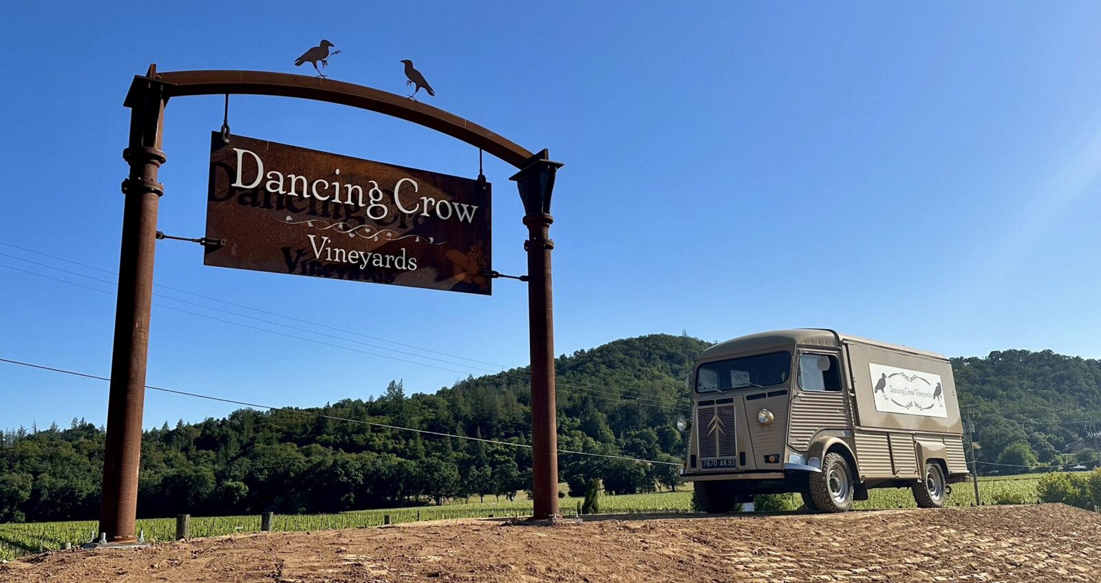 DancingCrowVineyards.png