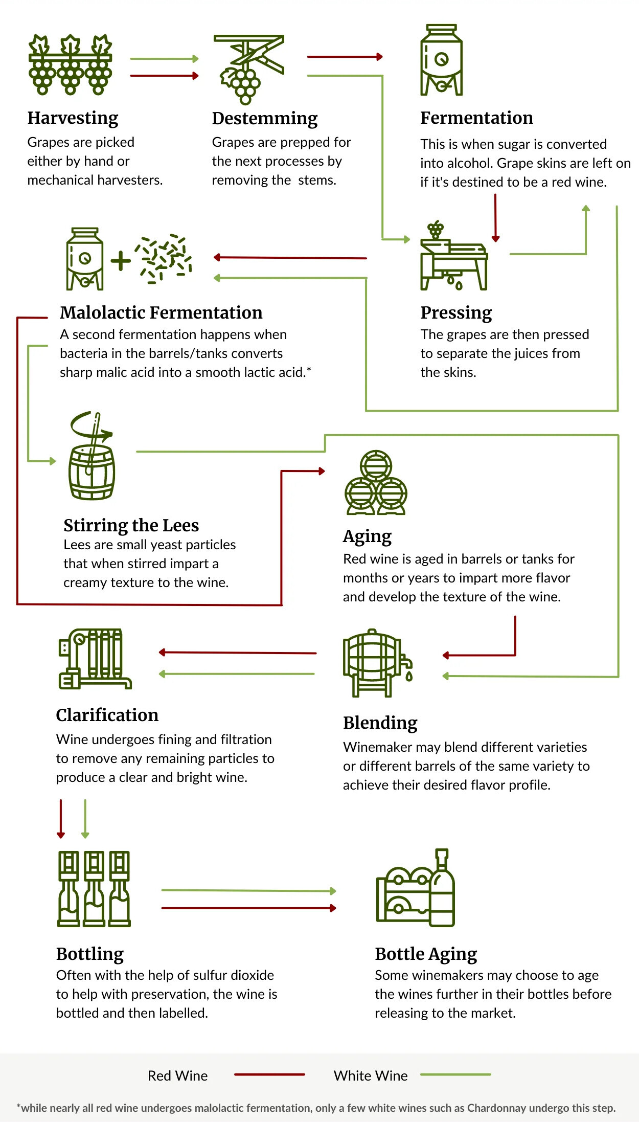 White Wine Made from Red Grapes