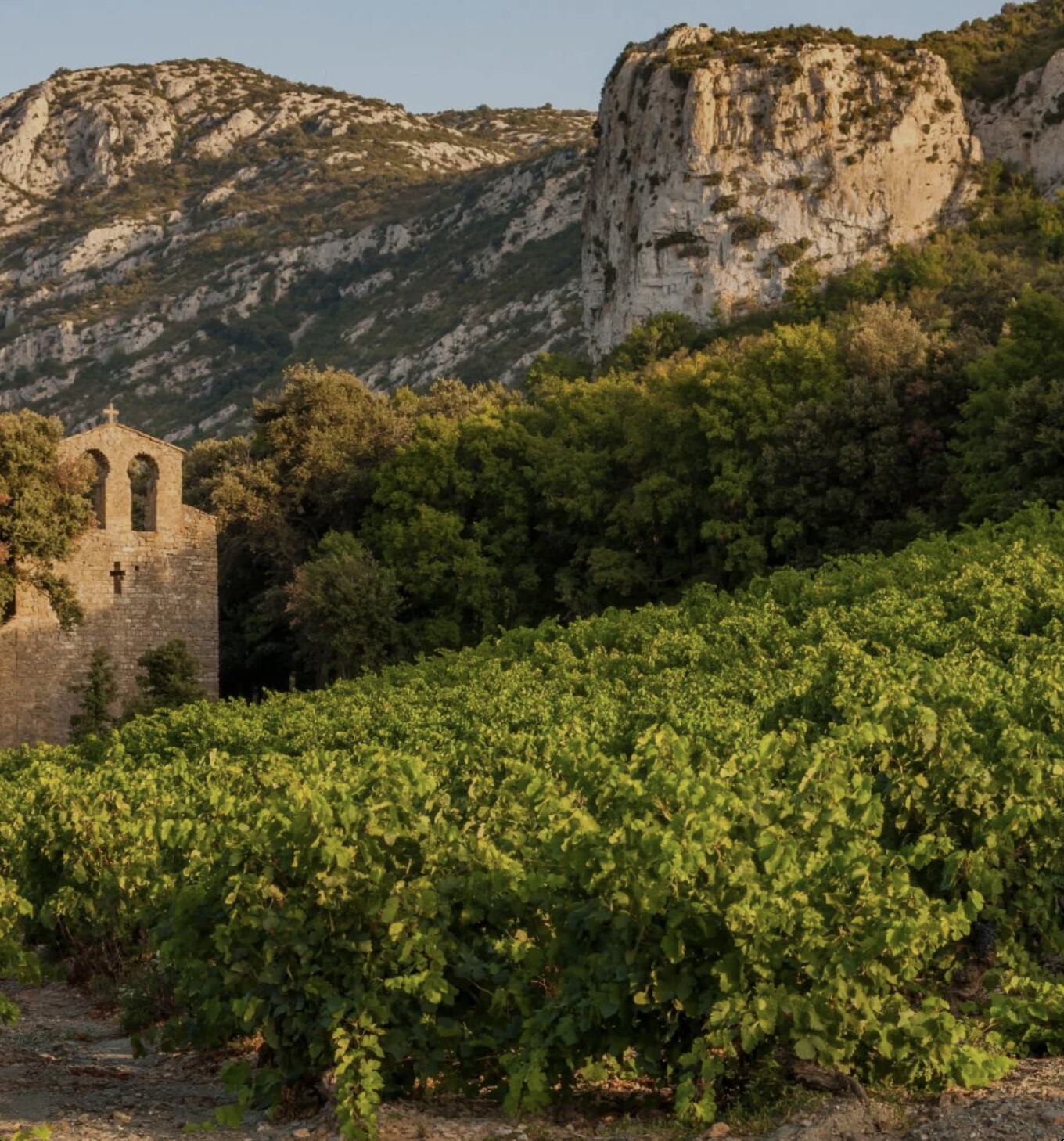 monastery_garrigue.png