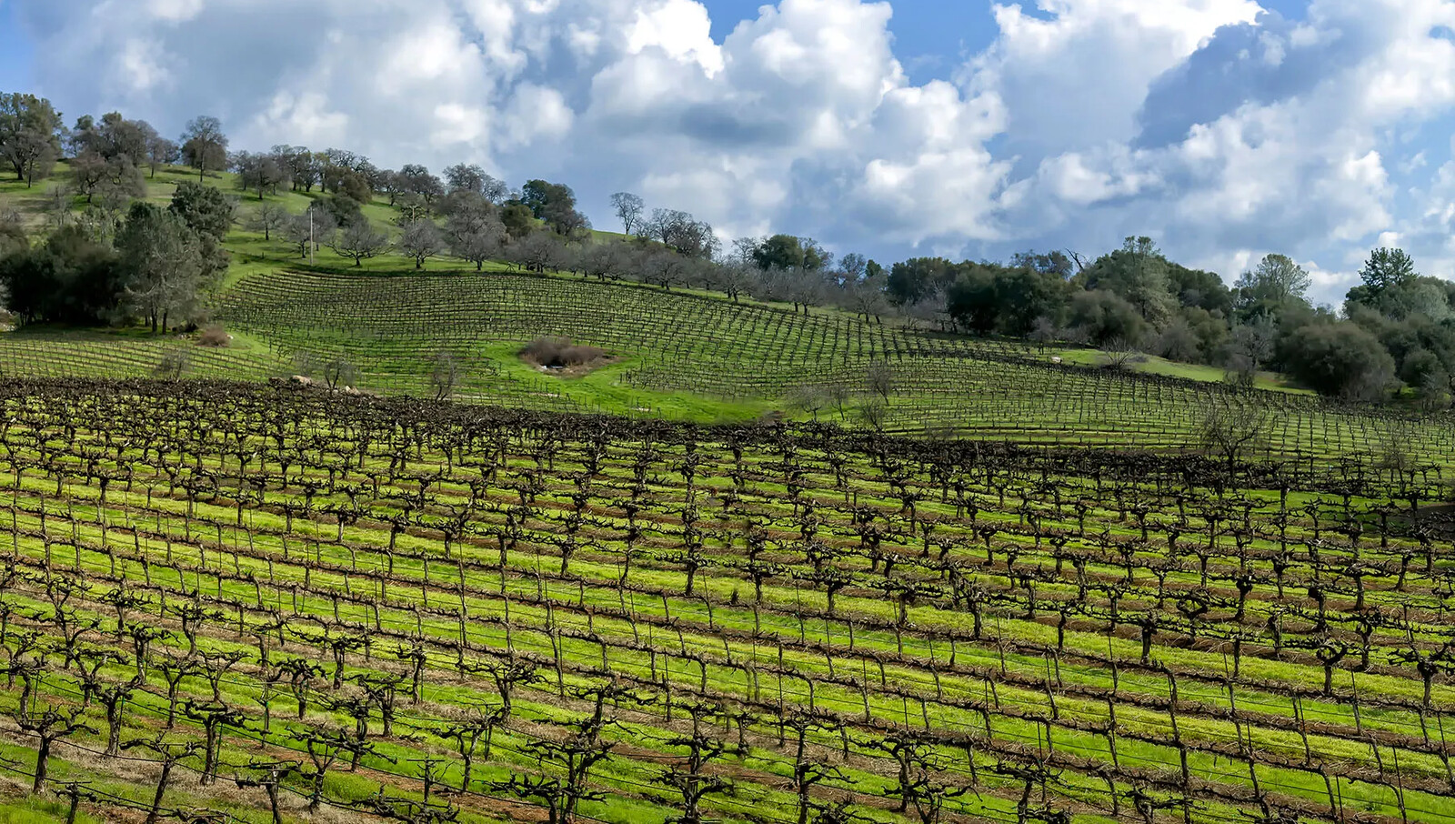 05_24_Sierra_Foothills_INSET_GettyImages-1144180904_1920x1280.png