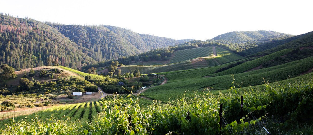 rorick-heritage-vineyard_image