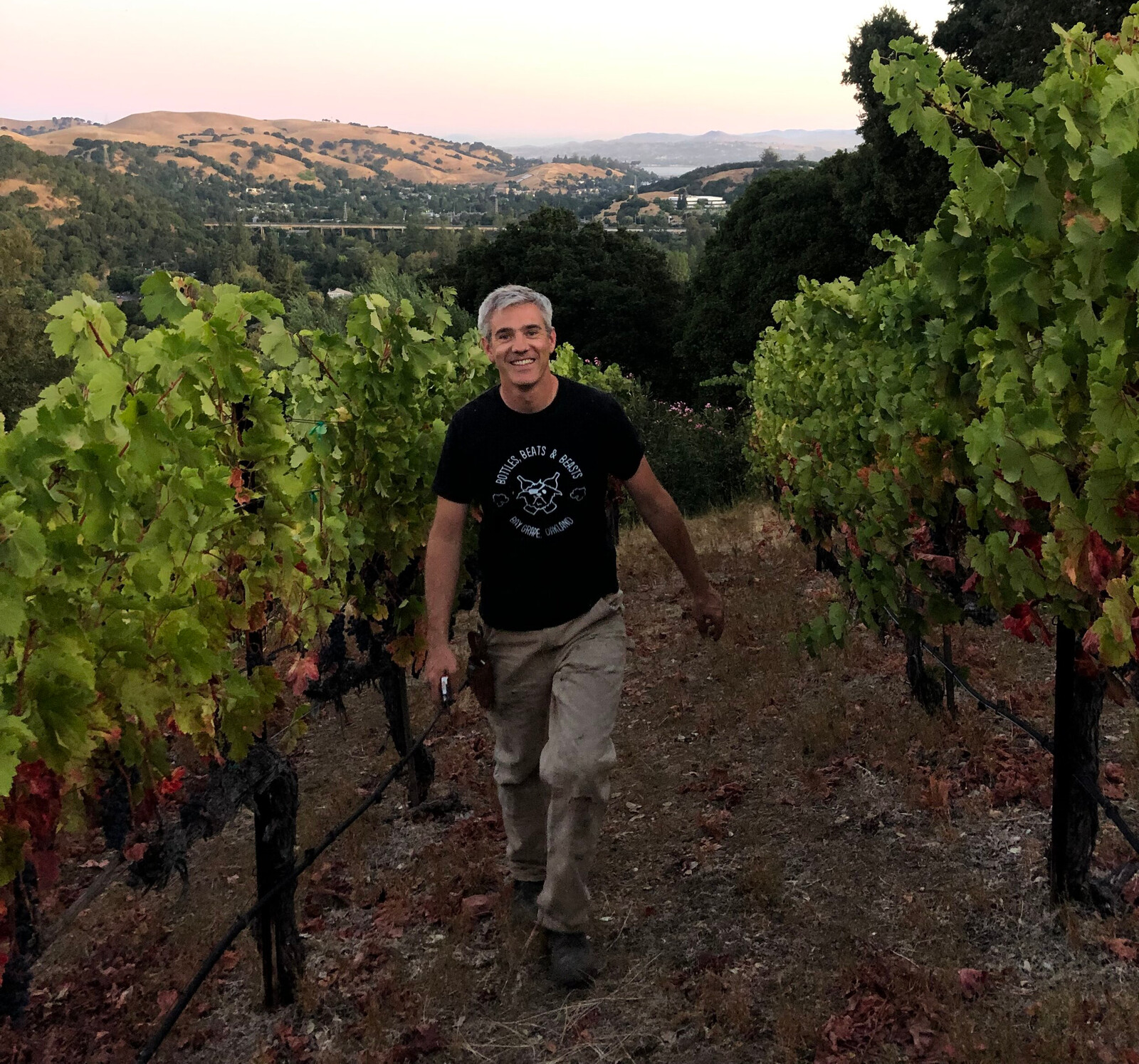 vanderkousvineyard_Jack_image
