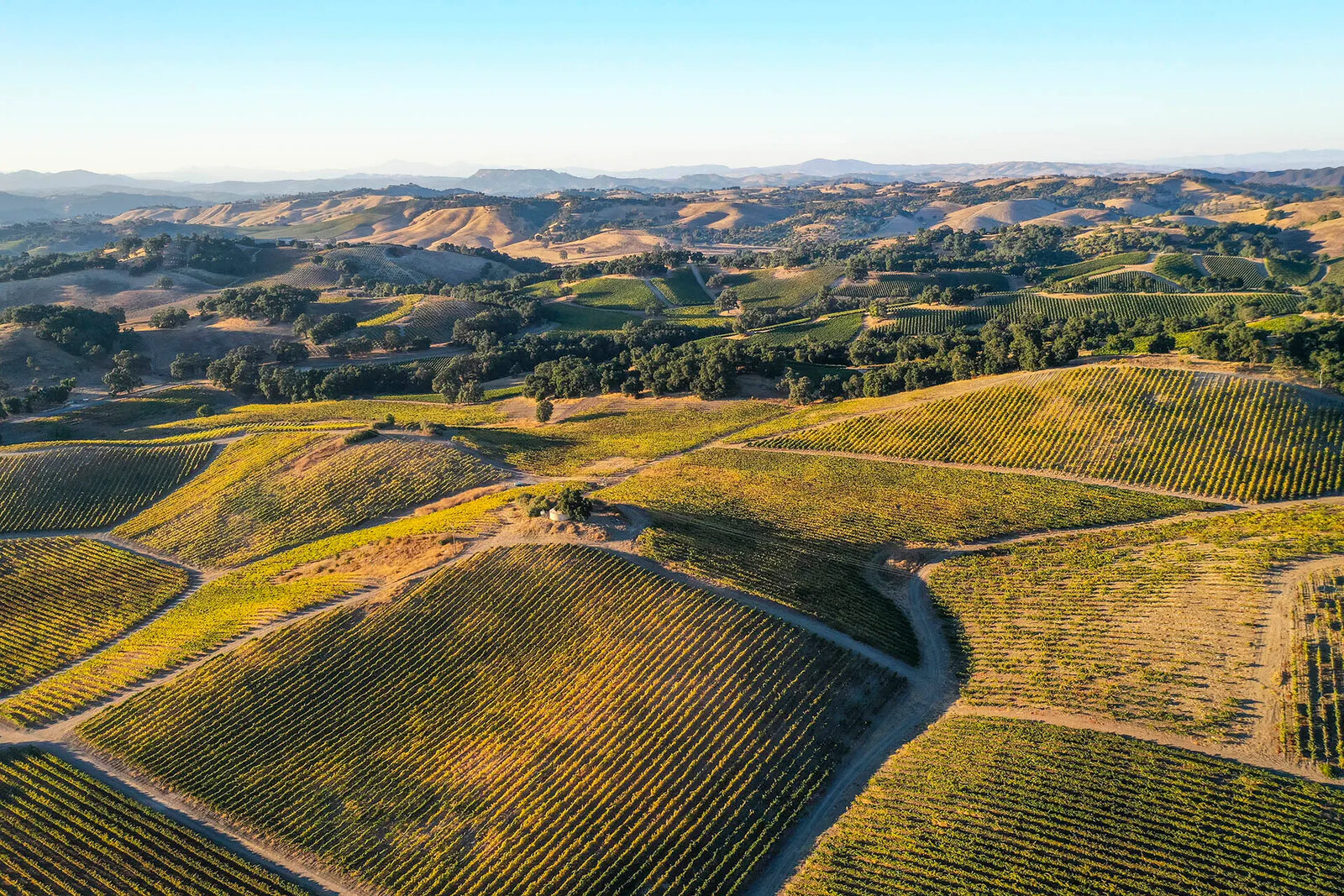 05_24_Paso_Robles_HERO_GettyImages-1779141792_1920x1280_image