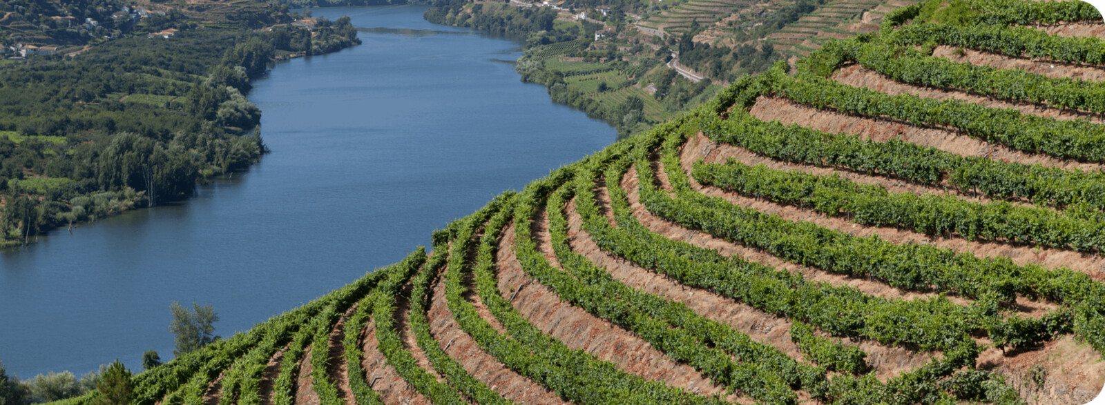 terraceddouro-valley-2.png