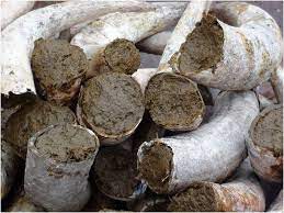 WHAT IS BIODYNAMIC FARMING AND WINEMAKING?