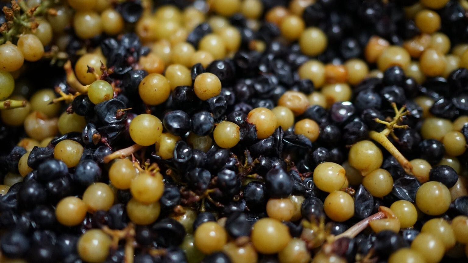 TOGETHER IN THE VAT: WHAT IS CO-FERMENTING AND WHY BOTHER?