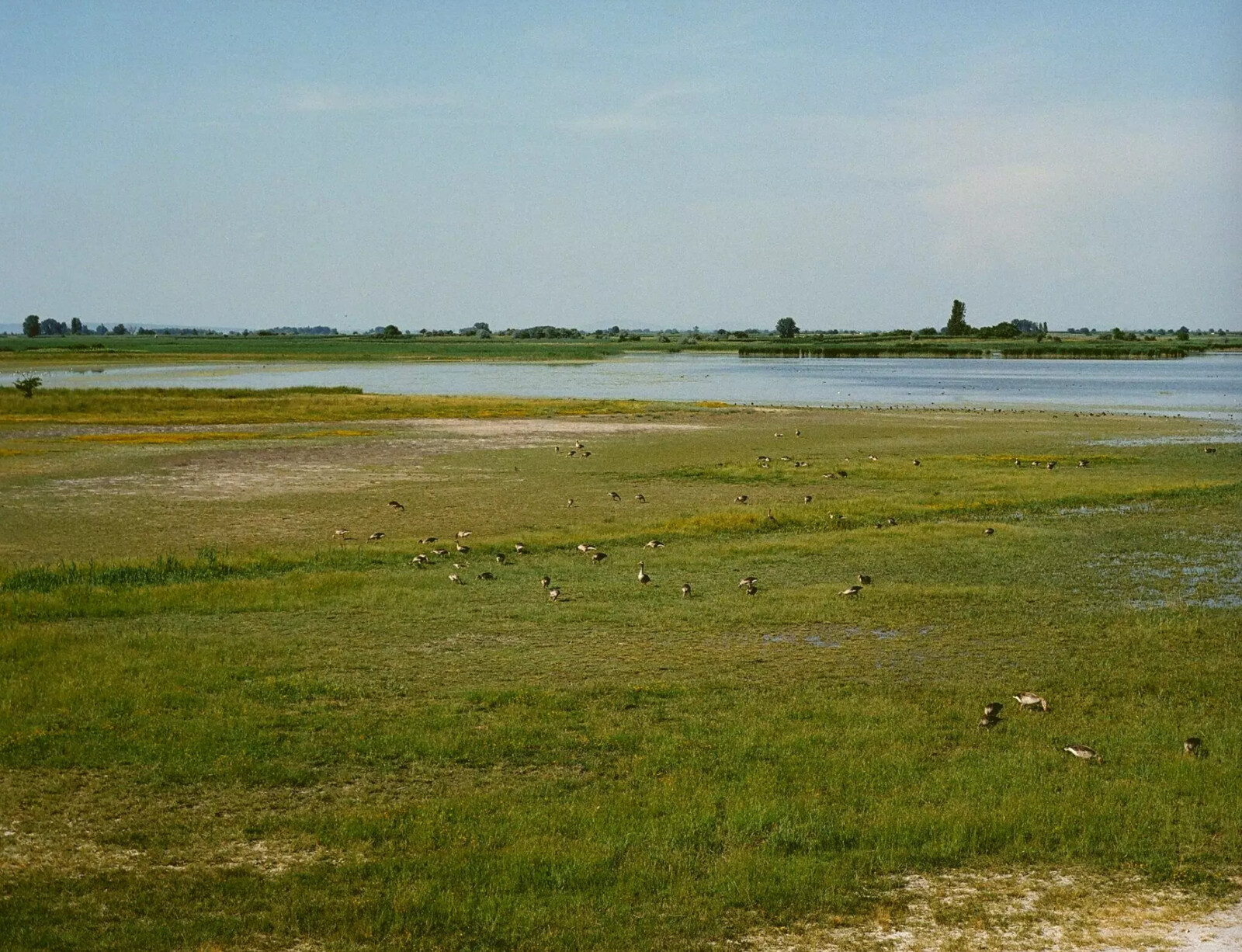Lake_Neusiedl_UNESCO–World-Heritage_site.png