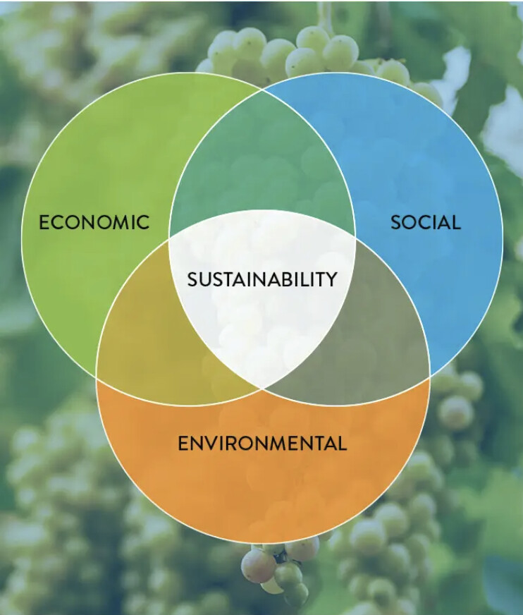 SUSTAINABILITY IN THE VINEYARD AND BEYOND: WHY IT MATTERS