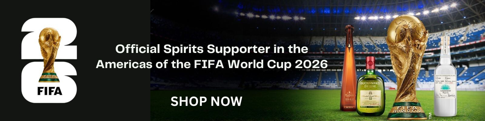 FIFA_banner_CH.jpg